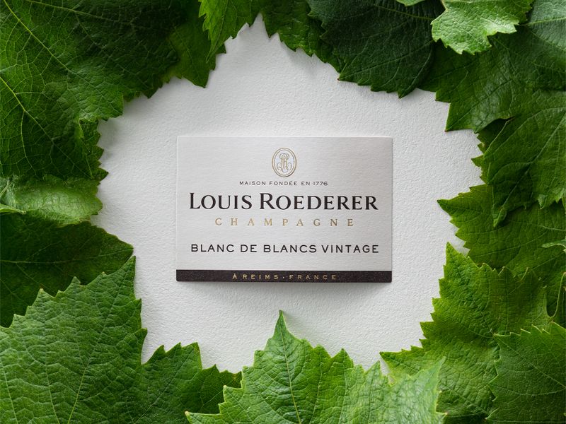 Blanc de Blancs  -  Champagne Louis Roederer