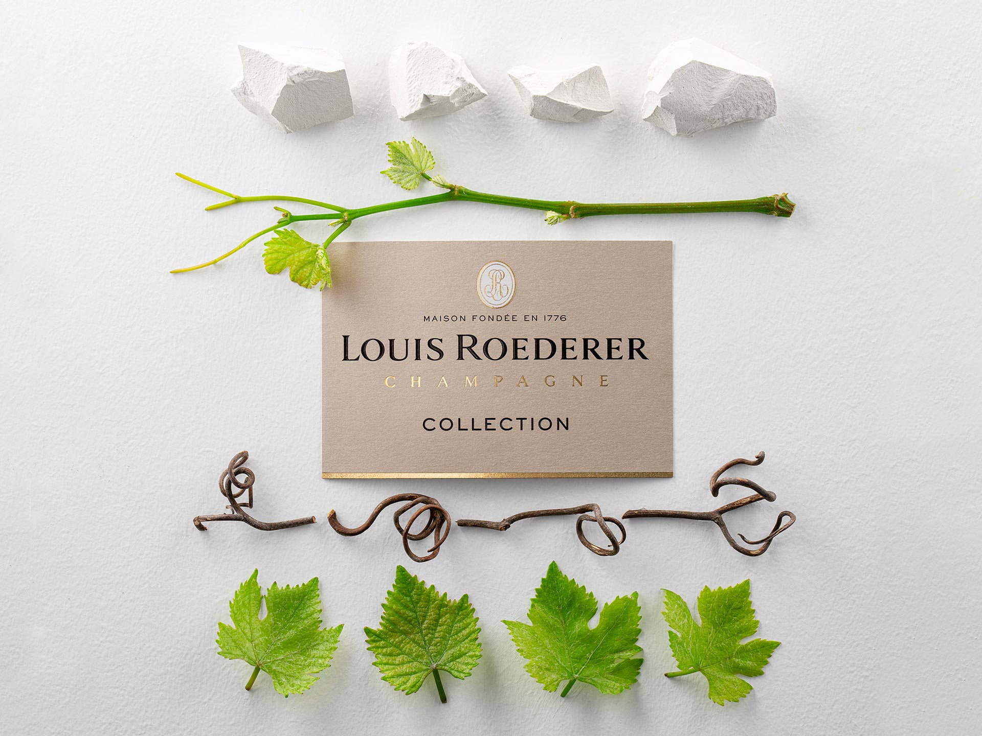 Collection  241 -  Champagne Louis Roederer