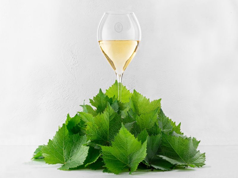 Collection  -  Champagne Louis Roederer